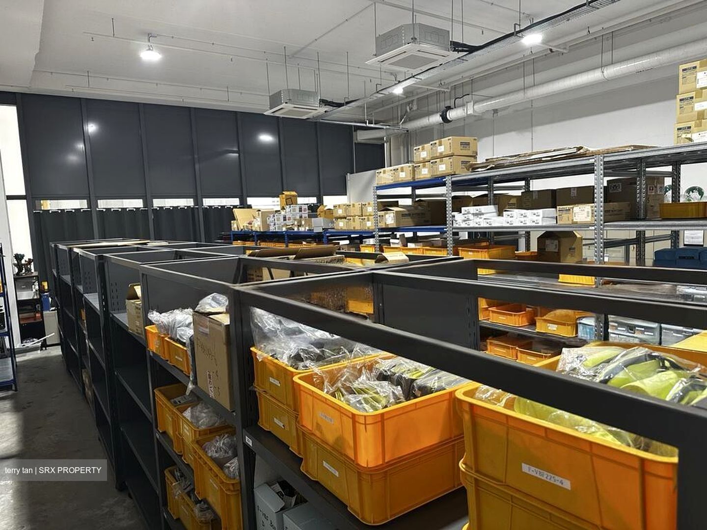 REVV (D22), Factory #462987531